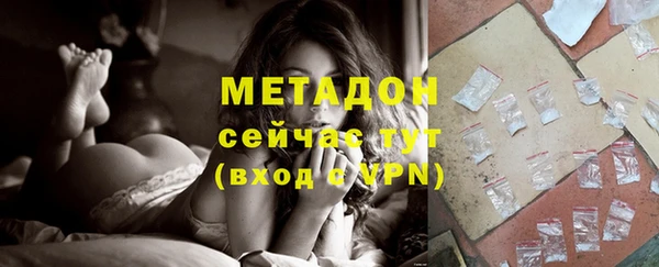прущие грибы Медногорск