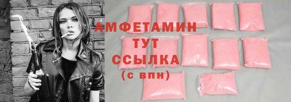 прущие грибы Медногорск