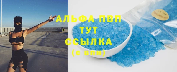 СК Медвежьегорск