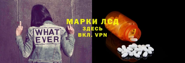 СК Медвежьегорск