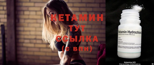 прущие грибы Медногорск