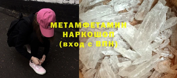 прущие грибы Медногорск