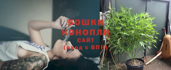 СК Медвежьегорск