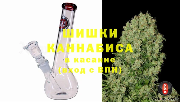 СК Медвежьегорск
