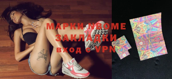 прущие грибы Медногорск