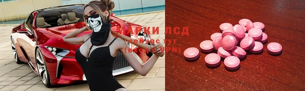 прущие грибы Медногорск