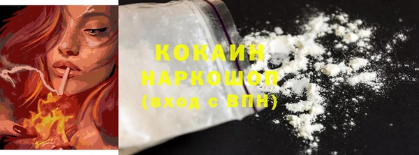 прущие грибы Медногорск